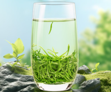 一杯香茶叶绿茶明前碧螺春